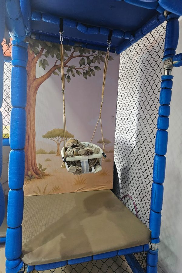 Balanço de bebê na Área Baby com tema safári